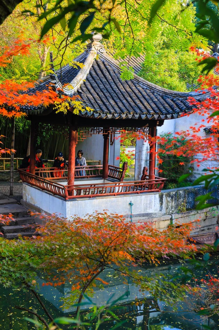 最適合一個人旅行的12個旅行地，你去過幾個？