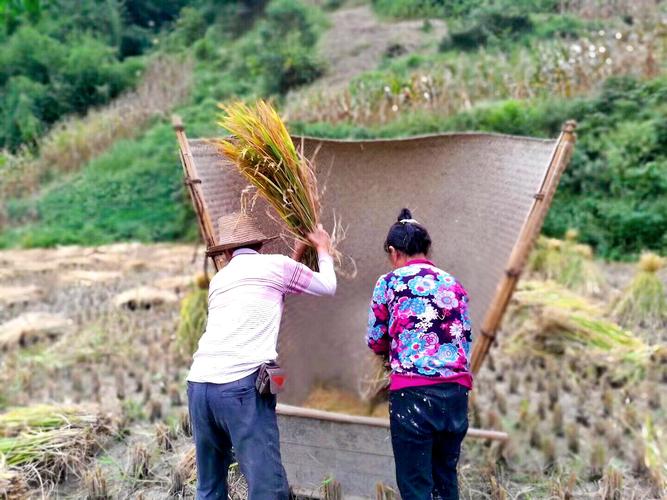 老式苹果3手机图片（苹果3 图片）-第6张图片-科灵网