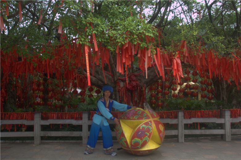 广西一奇特景点，整个景点只有一棵树还要20门票，树龄长达1500年