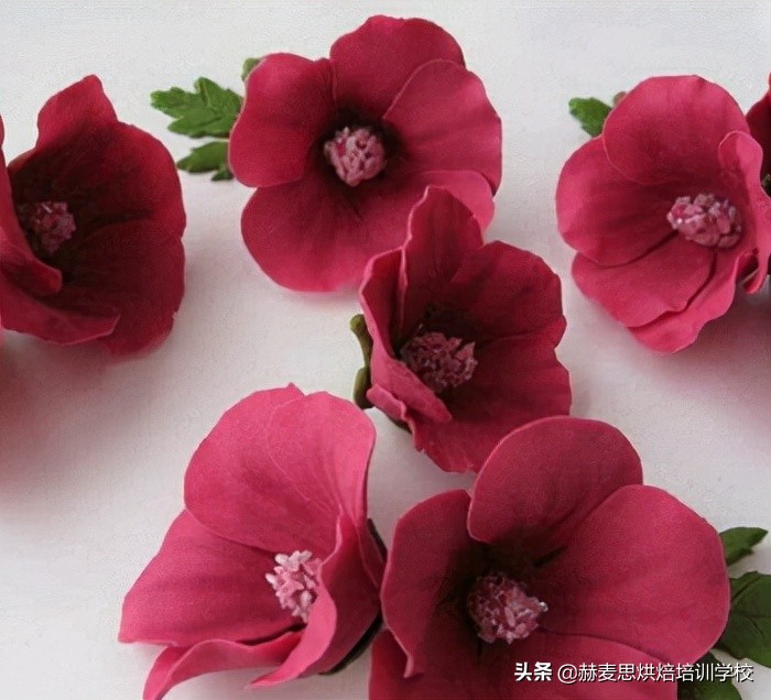 赫麦思烘焙培训班 翻糖蛋糕入门课程