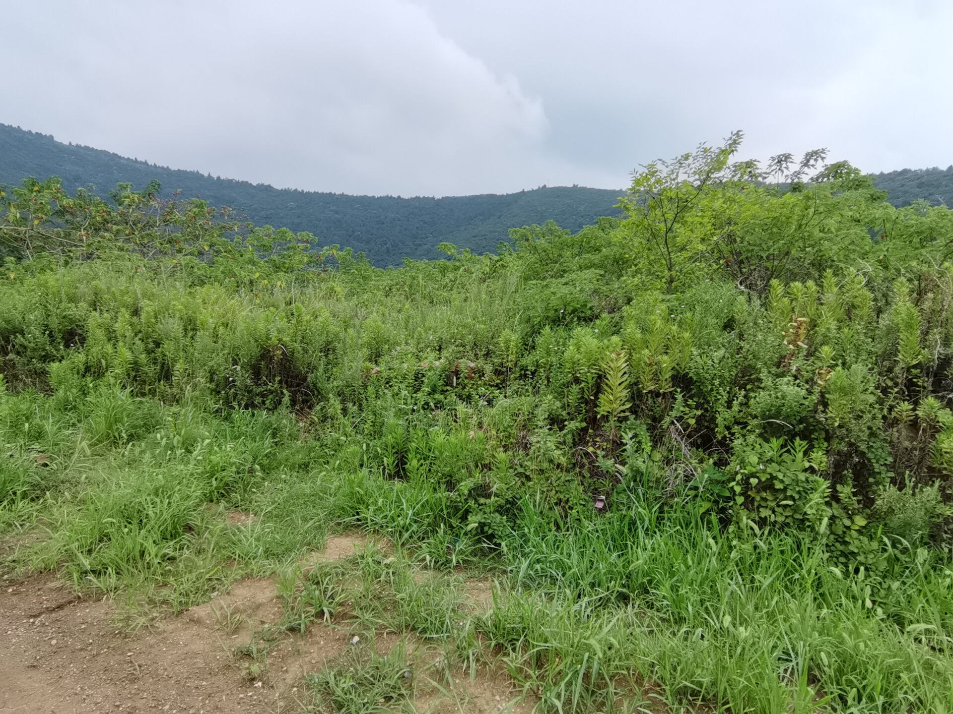 访古札记:钱元璙墓 访古札记:钱元璙墓