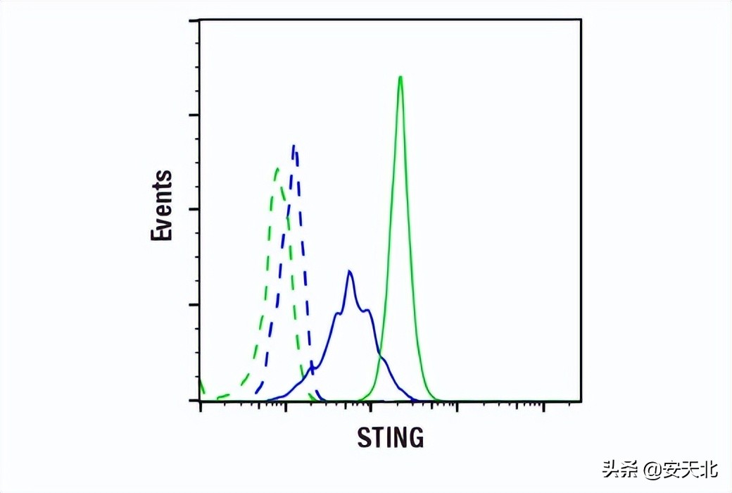 6月上市的经严格验证的全新抗体、试剂及试剂盒-伊诺凯