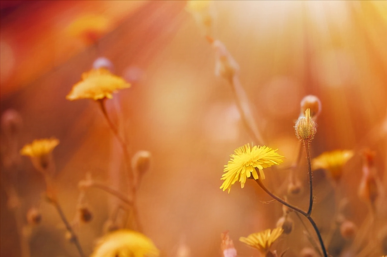 如果遇到了今生的真爱，你会有三种感应，每一种都很强烈