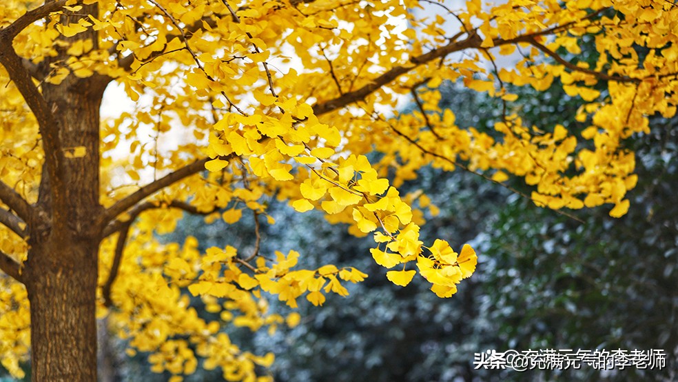 别抱怨努力的苦，那是你看世界的路——合肥滨湖职业技术学院