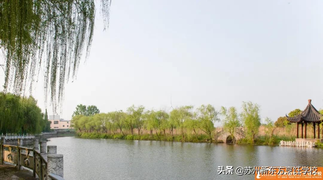 立是开始，春是希望，迎春而立，让梦想扬帆起航
