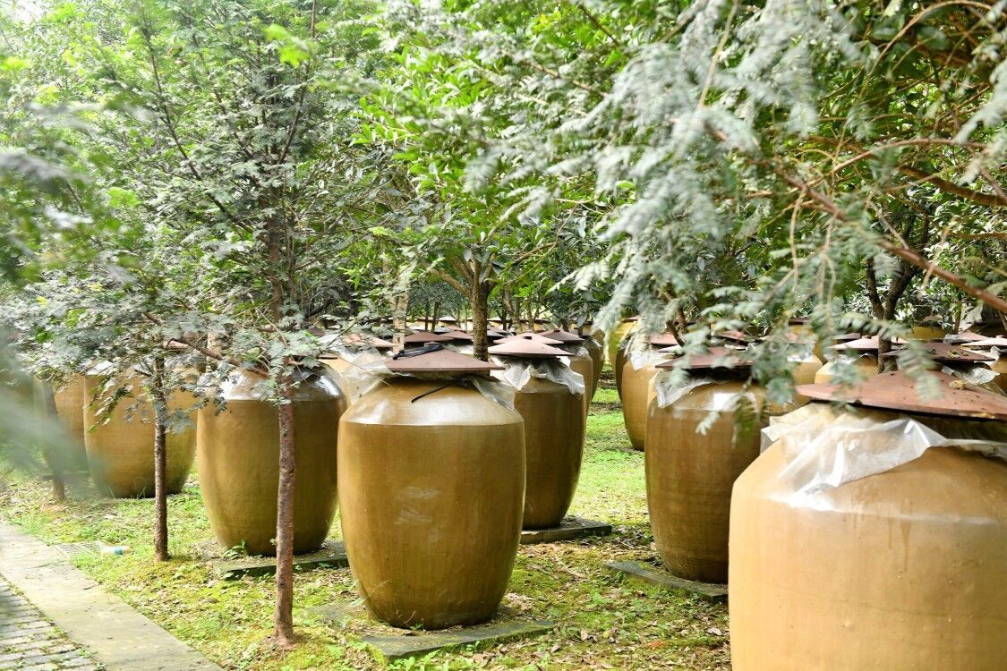 从原酒基地到酒庄集群，邛酒未来可期