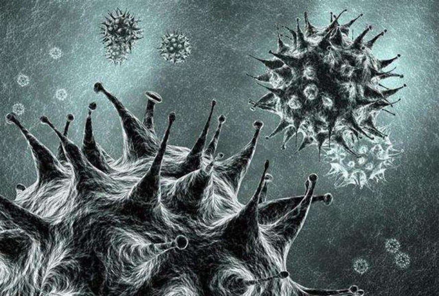 �ϼ������ڻ�����ѧ�ҷ���������Ķ����������ж����أ�