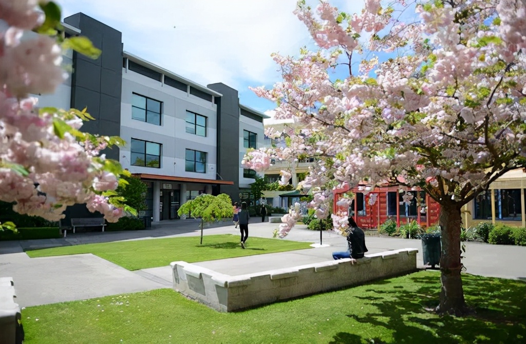 在新西兰，不到10万就能读的理工学院，到底有多香？