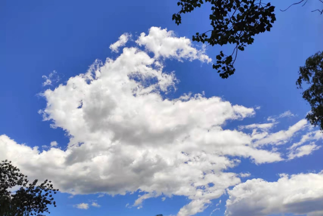 双非土木也能去银行？