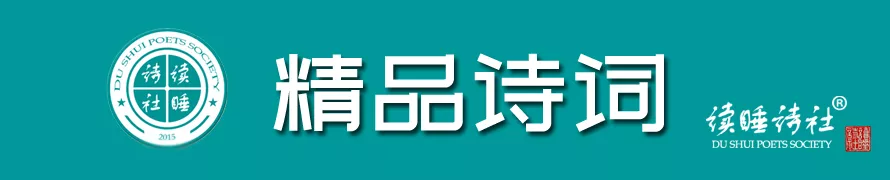 每日好诗词｜时光不似从前慢，客路须知此后艰
