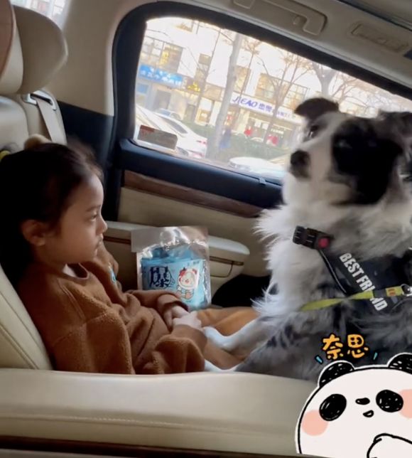 甜馨学滑板从白天到黑夜很刻苦，李小璐跟随在侧保护女儿关爱有加