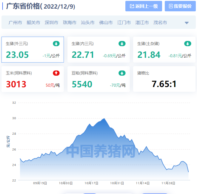 2022年12月9日广东最新猪价行情：全线下跌潮袭来，深圳广州均跌