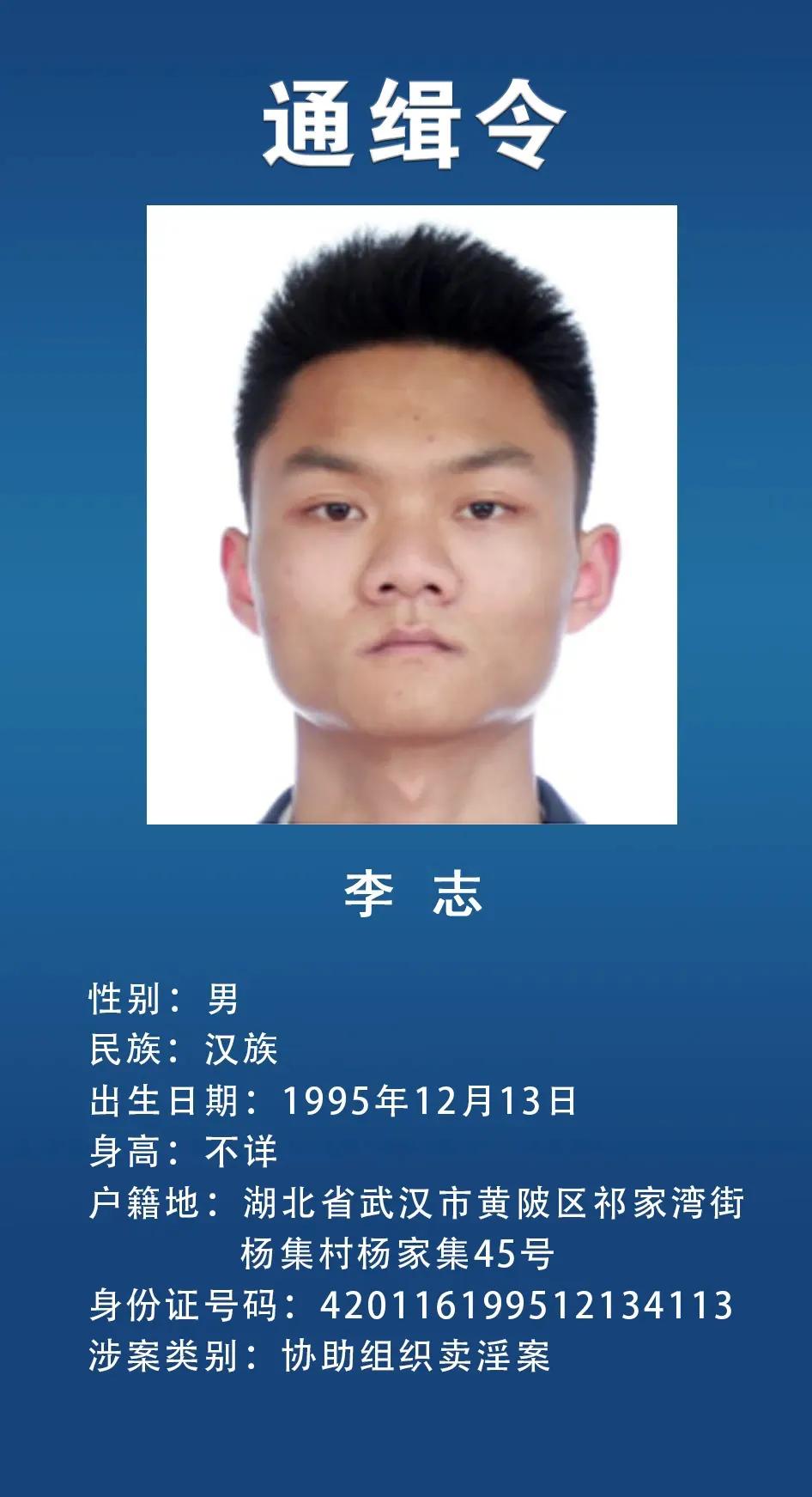 网上通缉犯,网上通缉犯怎么查