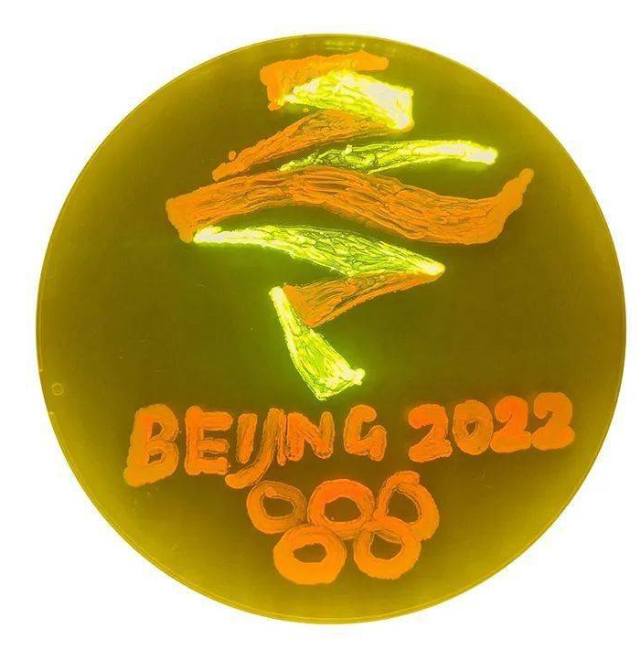 什么？天津高校的期末考试内容是画画，原材料使用的是微生物