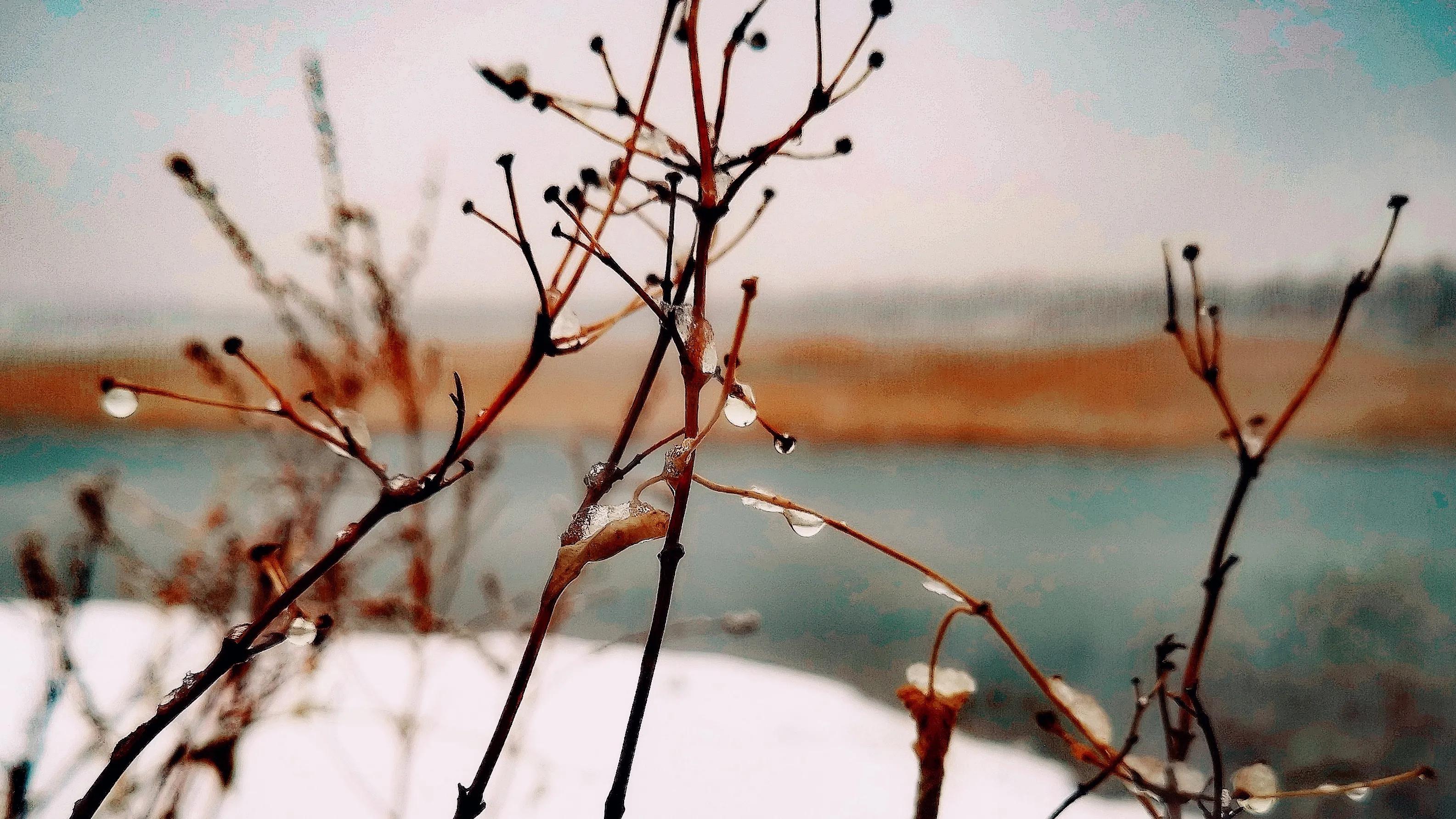 三月春雪静美，湖畔一步一深喜