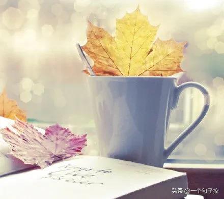 不要站在道德至高点去批判别人，我喜欢什么，我怎么活，关你屁事