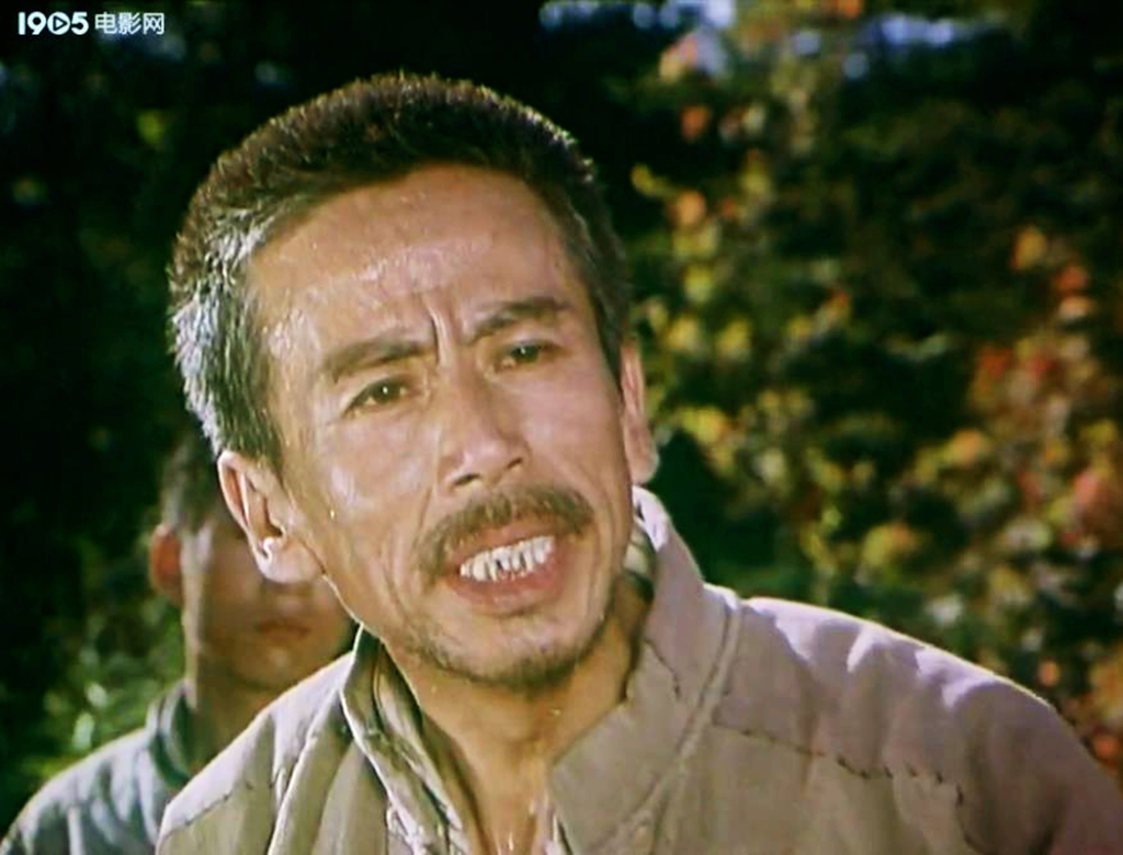 难忘让人心潮澎湃的《沸腾的群山》,名演员张连文安震江都已离世