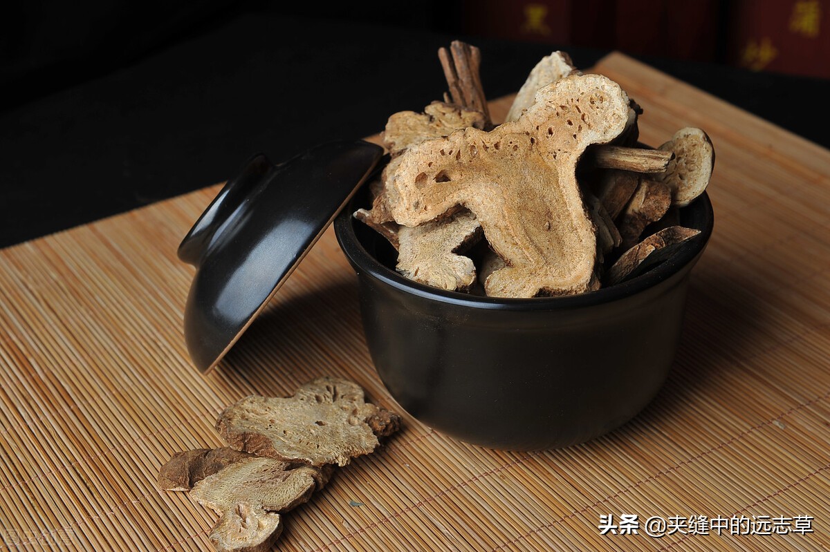 人还未老，腰已先老？四味中药，阴阳双补，送给腰酸背痛的你