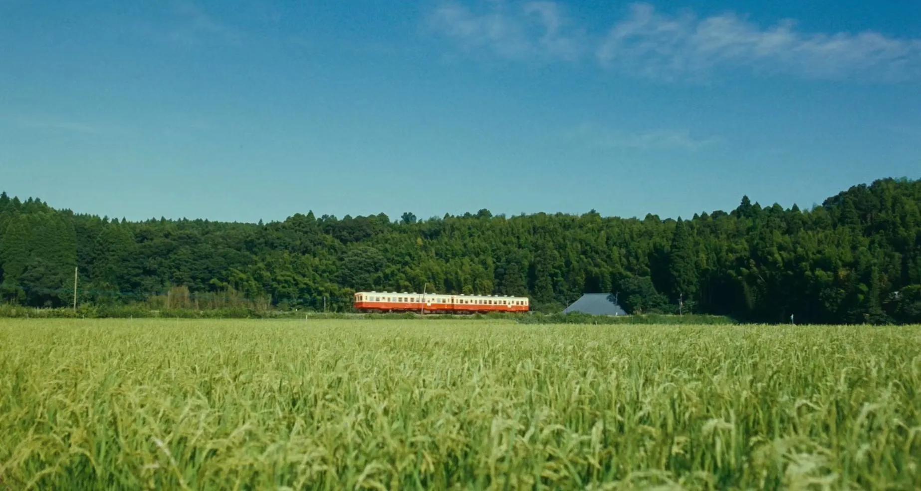 高分电影《小偷家族》，在残酷的现实里寻找一点点光亮