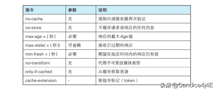 你必须知道的常用的报文首部字段