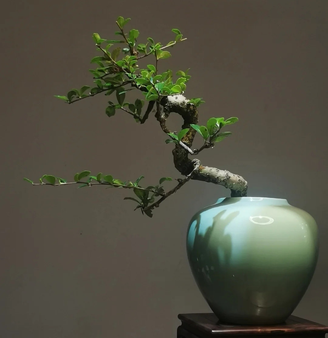 女人经常“骂你”这3句话，其实是对你表白，别傻傻不知道