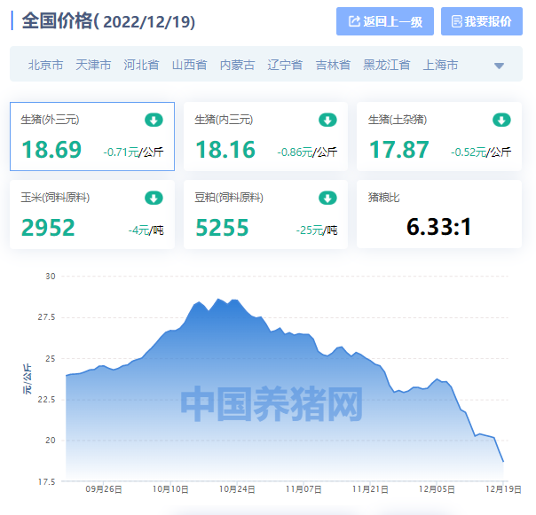今日北京的猪价是多少（北京猪五花肉价格今日价）
