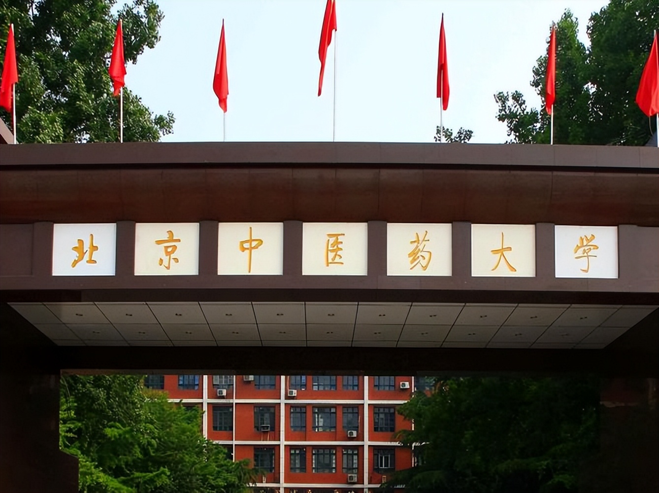 知点考博：北京中医药大学中医学专业考博成功经验、备考指南