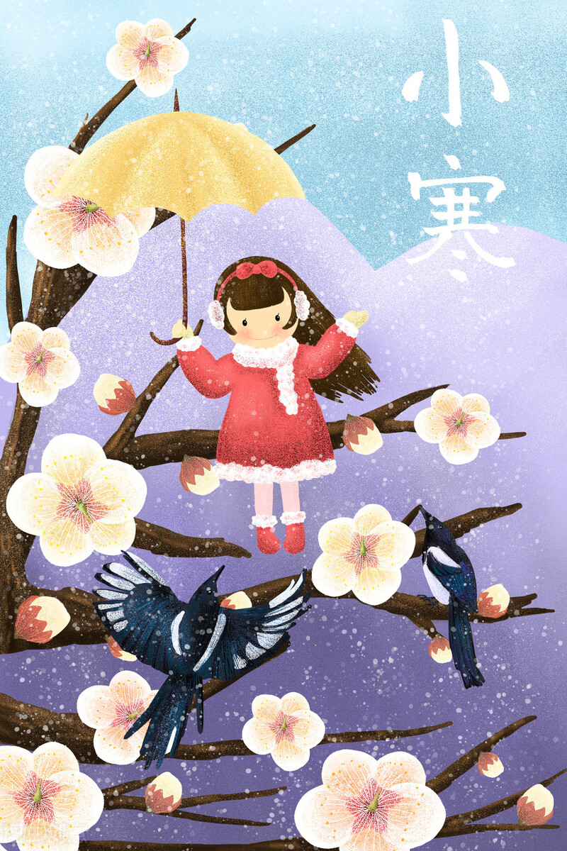 小寒节气祝福语精选,唯美特别暖心的问候句子大全,新年祝你快乐