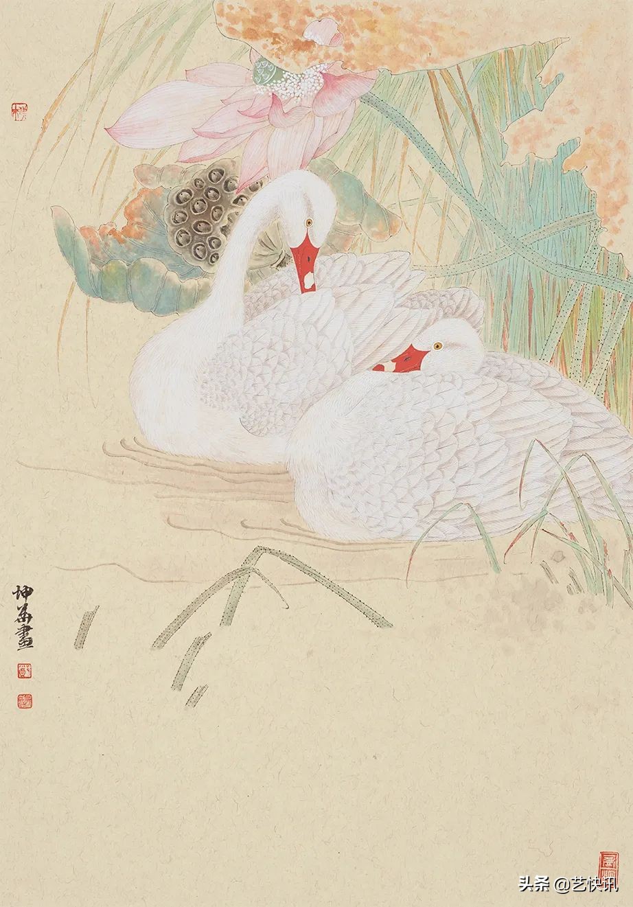 自强不息 · 德立坤华 | 郑坤华-工笔花鸟赏析