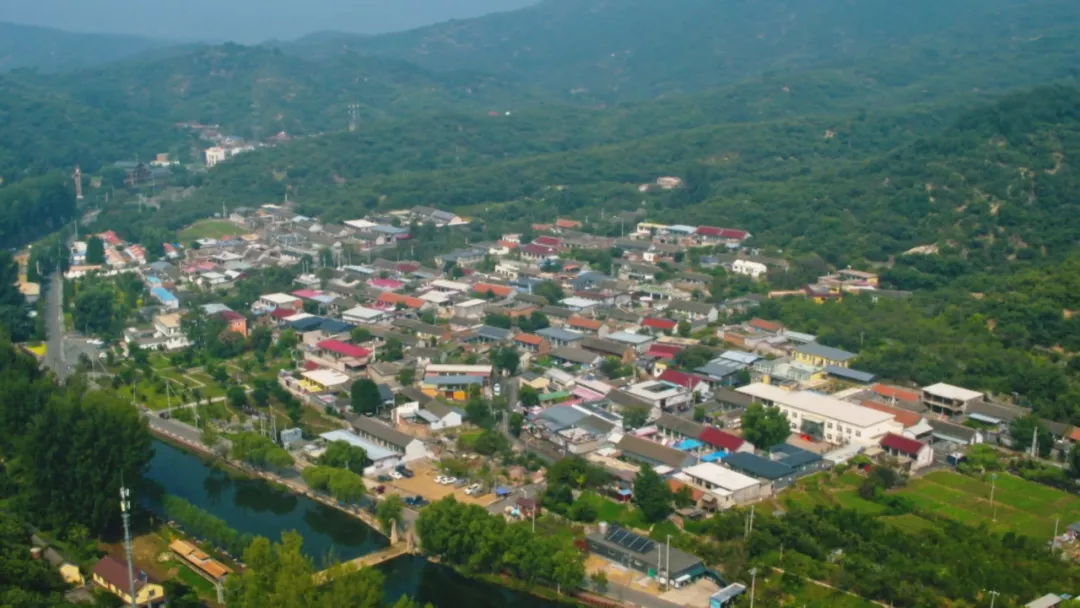 燕山板栗品种介绍（燕山脚下六渡河看漫山遍野栗树海）