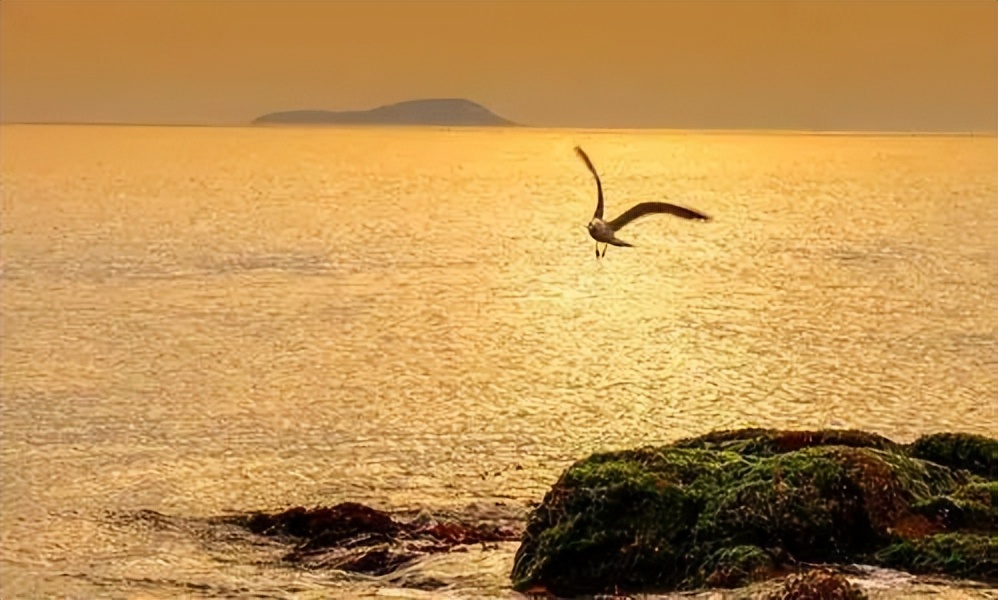 无需出国！国内12个小众海岛，人少景美，每一个都是上帝的私藏