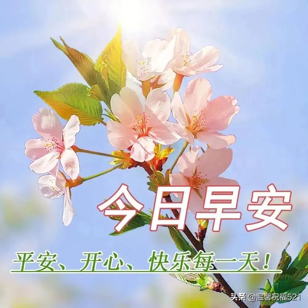 夏天最新漂亮風景最美早上好圖片帶祝福語 (精選10句)