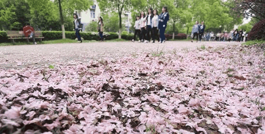 愿你所“院”｜新闻与传播学院