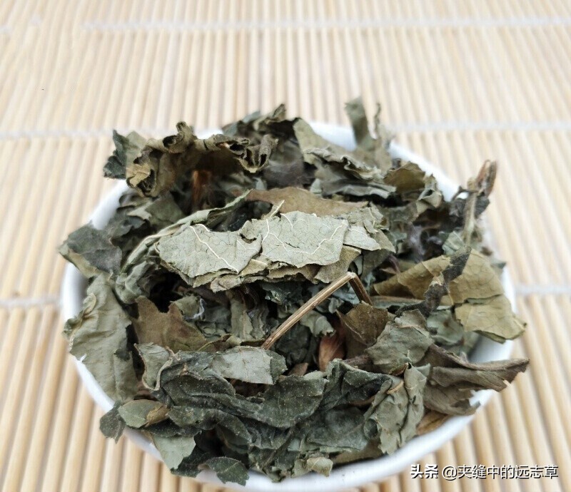 然,豨莶草性偏寒,湿热痹痛者生用即可,或者也可和臭梧桐合用,即豨桐丸