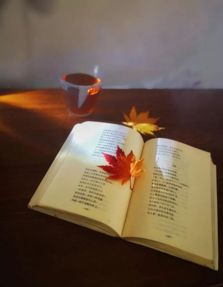 习惯给子女这两种钱的老人，晚年注定凄凉，这是人性
