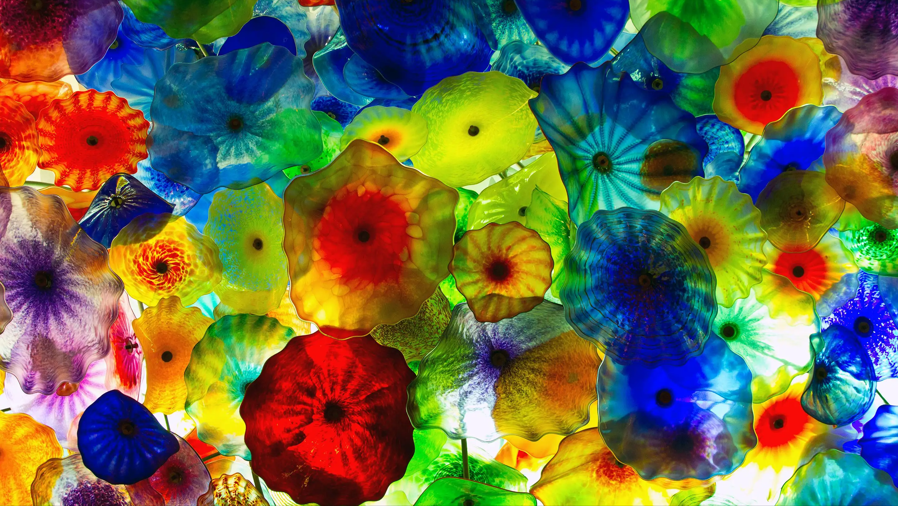 红色的寓意和象征(色彩的感情表达,各种颜色表示的意思)