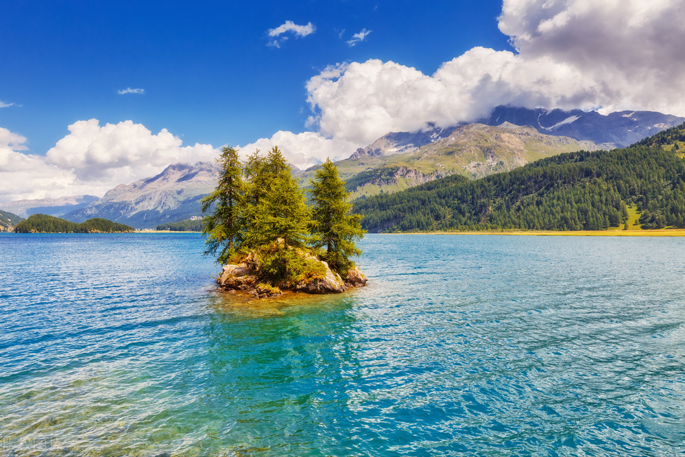 男人虚了怎么办（男人肾虚怎么办？中医：这样调理很管用）