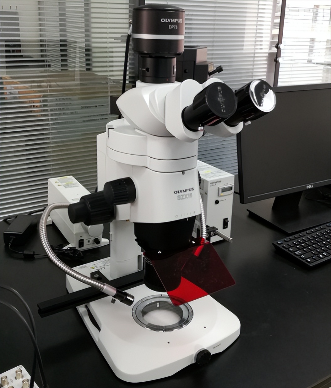 蓄势待发，圆梦广工：轻工化工学院等你赴约！