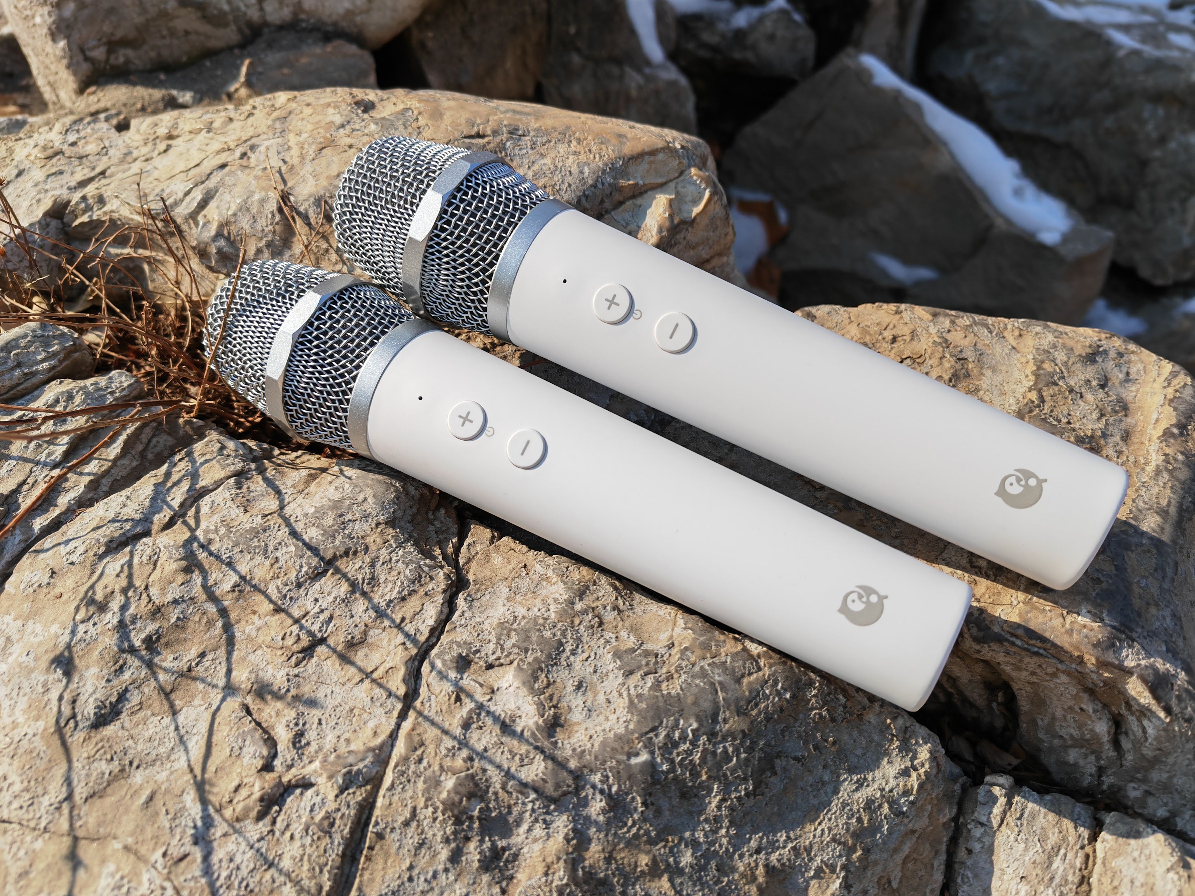 全民K歌独家麦克风 在家K歌更容易