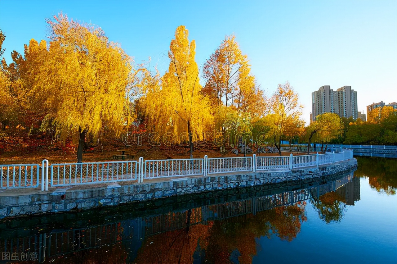 没有人告诉你，这四所警校也在单招里招生，管理严格，学生质量高