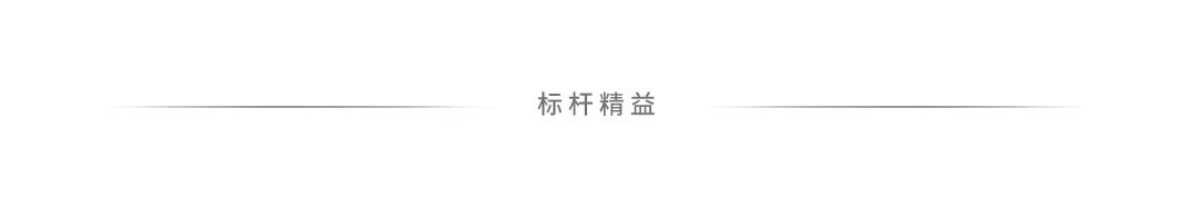 （收藏）BYD比亚迪验厂资料：供应商审核清单！「标杆精益」