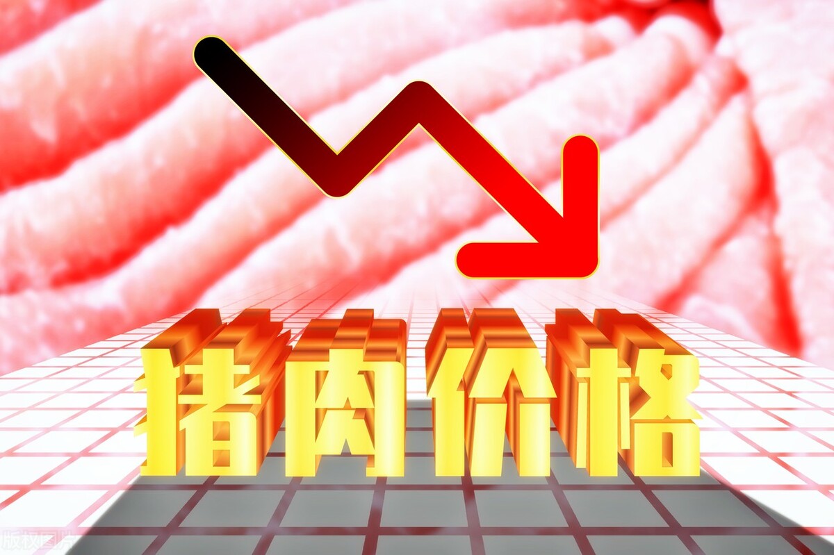 4月26日生猪价格“牛气冲天”，但危险也越来越近，警惕价格回落