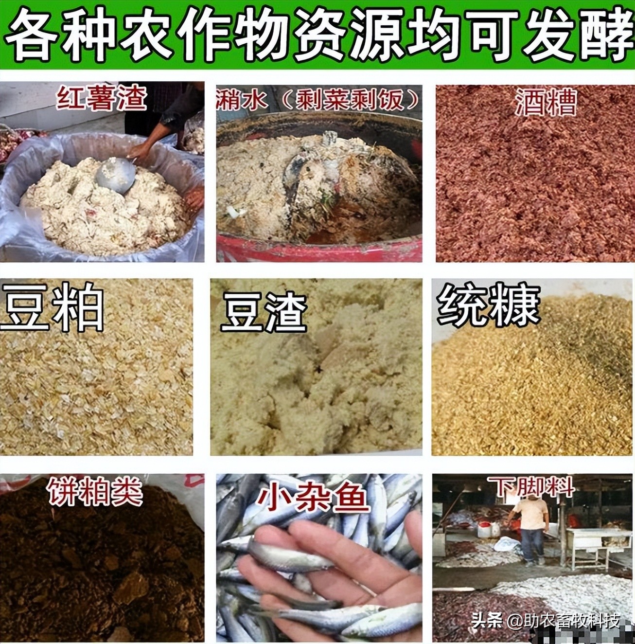 运用部分发酵饲料对养鸡有什么好处