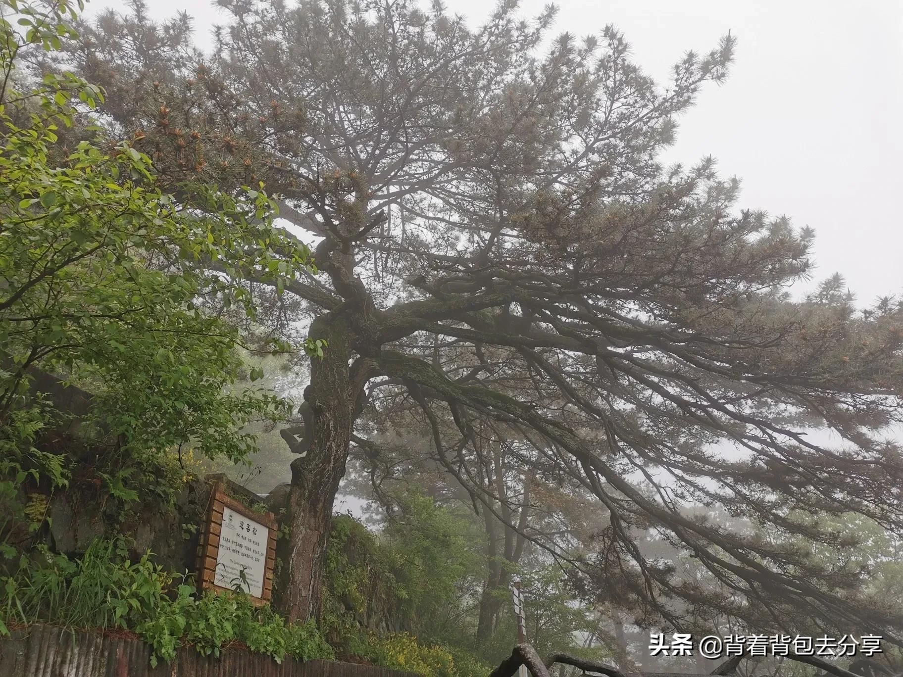 湖北必玩的十大景区，全部去过，才算真正的玩转湖北