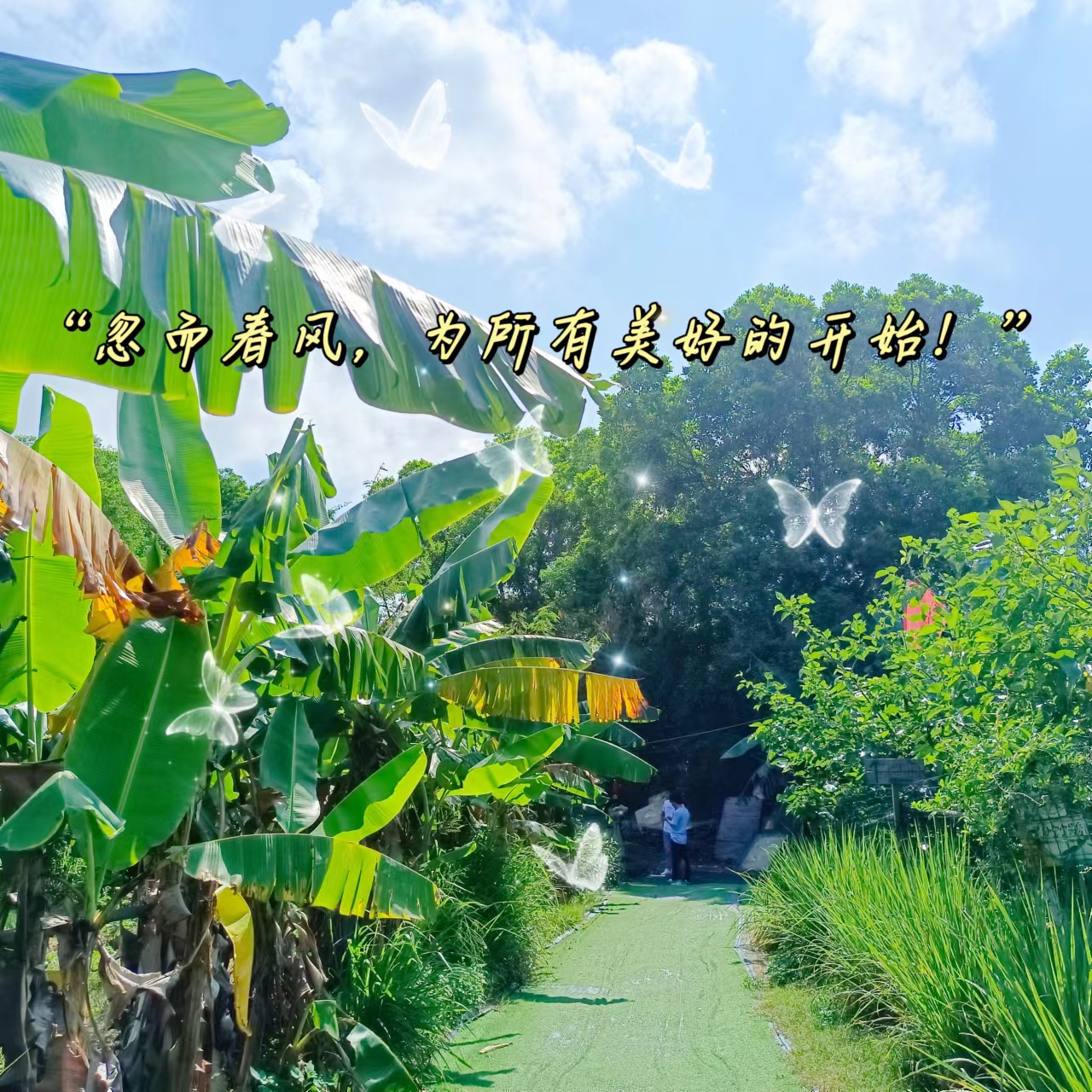 野餐露营吉他｜这个夏天与微风与好友与大树农场一起度过漫漫夏天