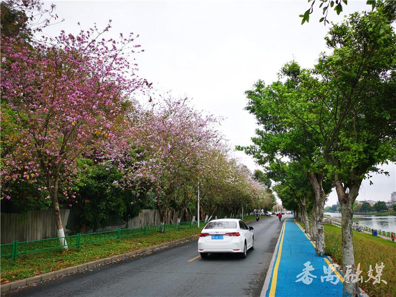 ��خ����ˮ���̵������Ͼ���������