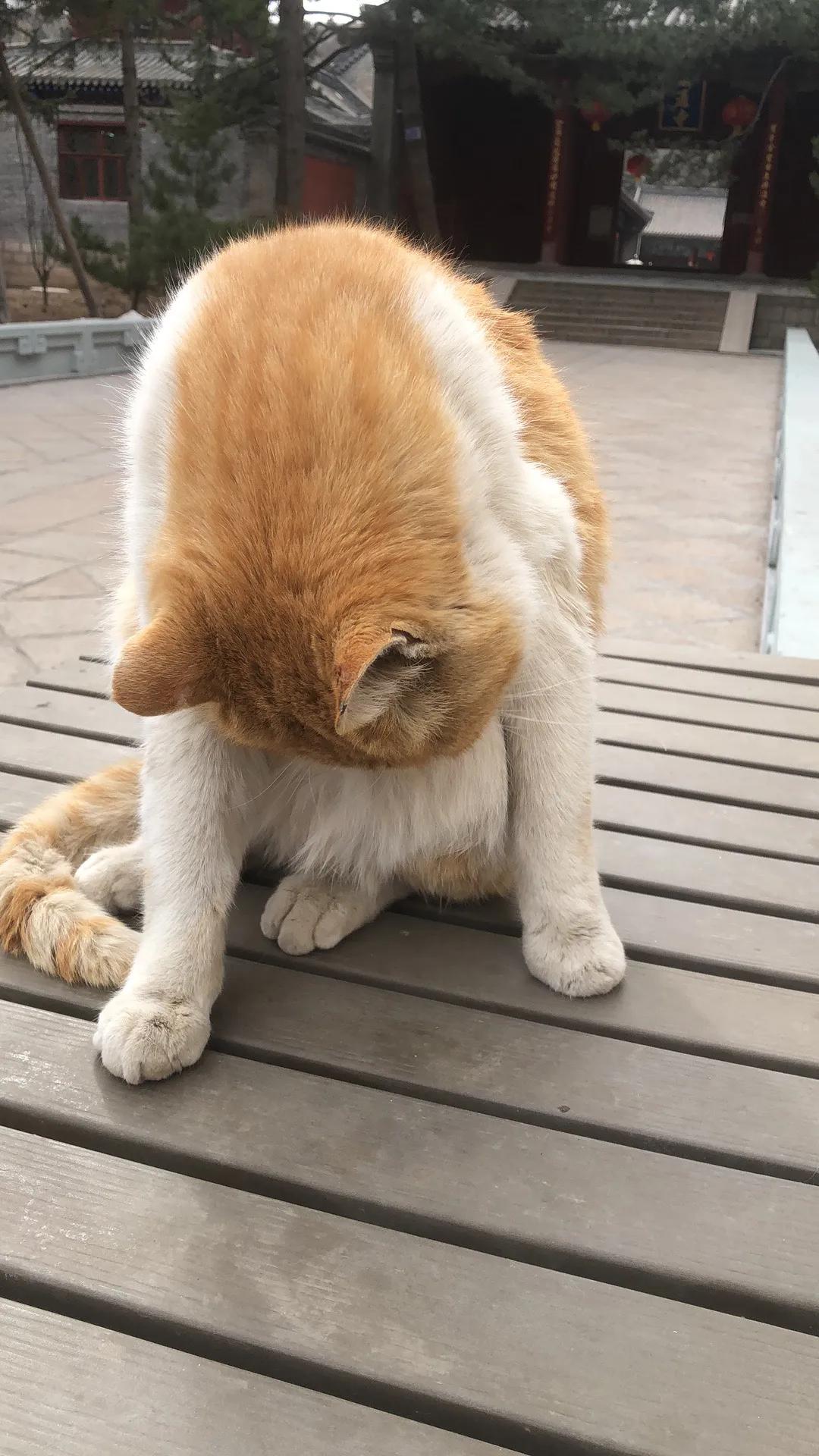 众筹成功三十六步