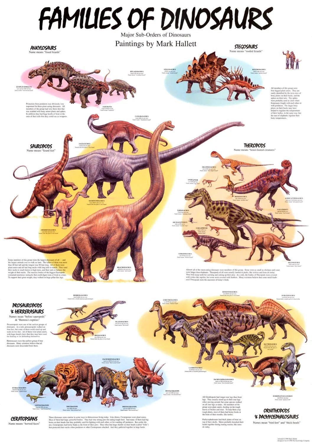 恐龙时代我们仍然生活在恐龙时代