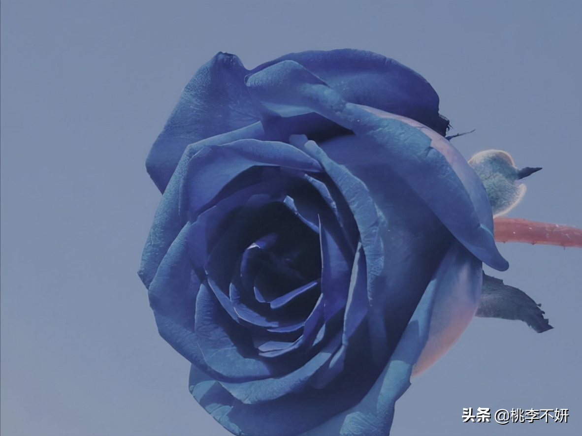 有些朋友圈，该屏蔽了