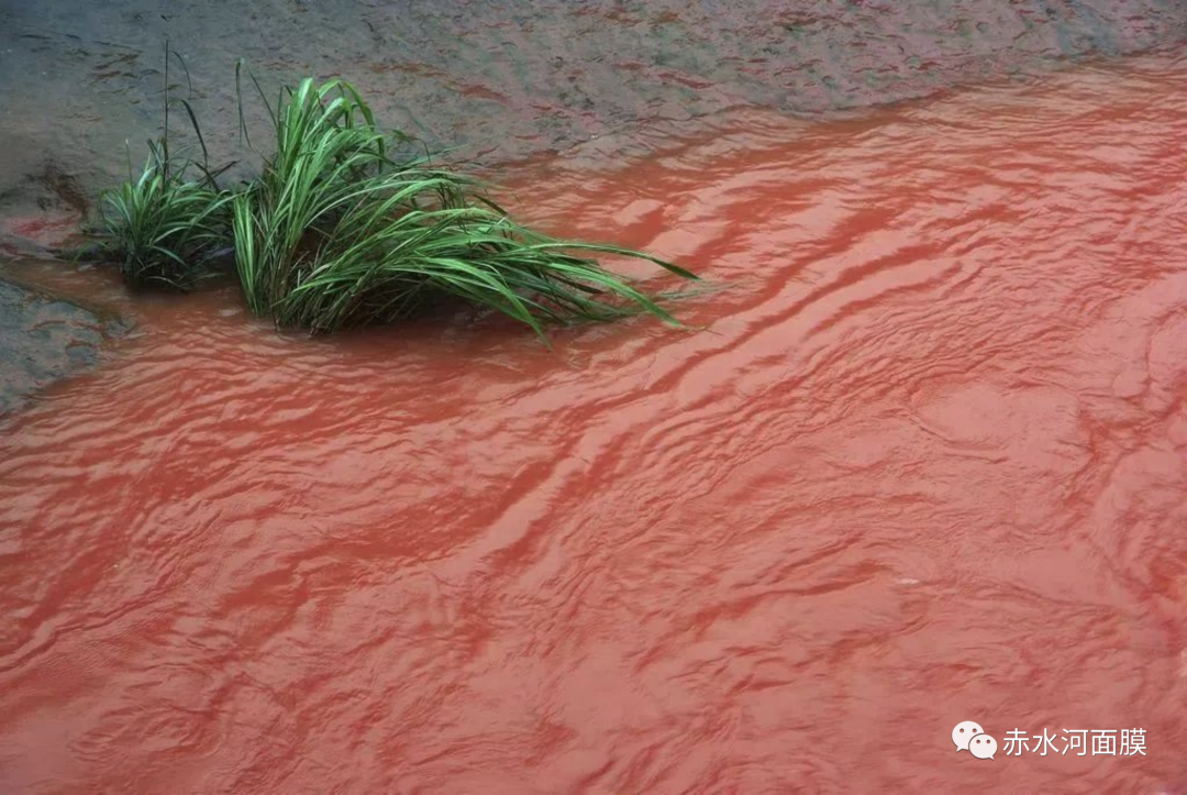 勃艮第红梁仝(勃艮第红梁仝在线阅读) - 泉兴百科